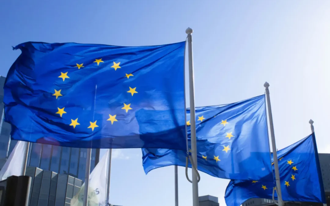 Gestion y administracion de fondos de la union europea