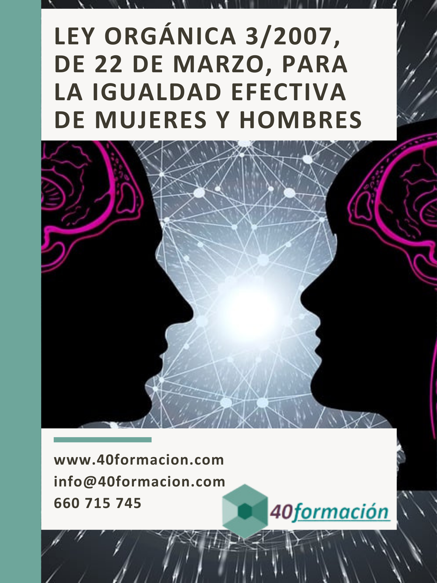 CURSO LEY ORGÁNICA 3/2007, DE 22 DE MARZO, PARA LA IGUALDAD EFECTIVA DE MUJERES Y HOMBRES